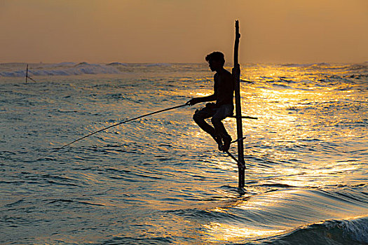 渔民,捕鱼,浅水,黄昏,加勒,区域,南方,省,斯里兰卡,亚洲