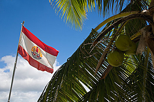 法属玻利尼西亚,社会群岛,旗帜,椰树,棕榈树