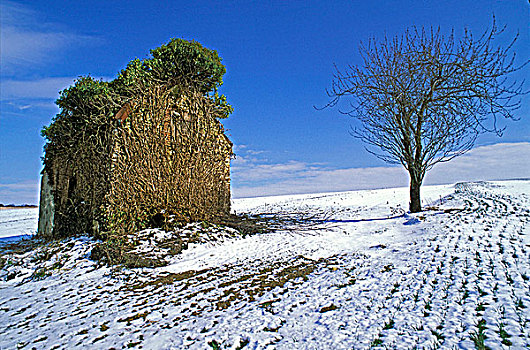 法国,中心,风景,冬天