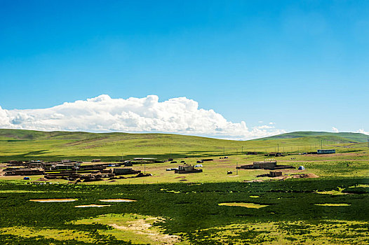那曲羌塘高原牧场风光,中国西藏