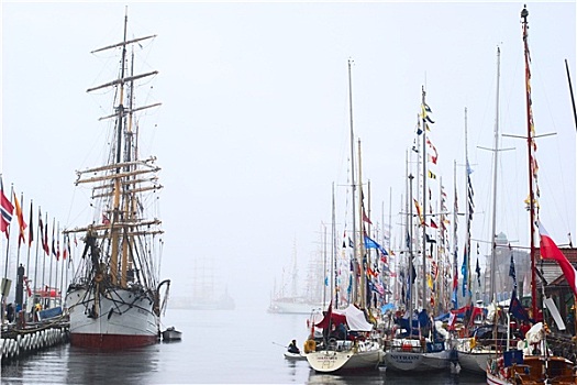 船,高桅横帆船,比赛,2008年,锚定,卑尔根,挪威