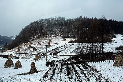 雪野,北方,东北,大雪,原野,土地,冬季,洁白,干净,风景,村庄,农村