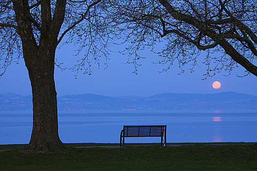 长椅,康士坦茨湖,巴伐利亚,德国