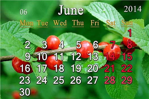 日程,六月,红色浆果,樱桃属