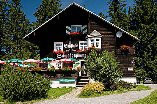 餐馆,山,康士坦茨湖,奥地利,欧洲