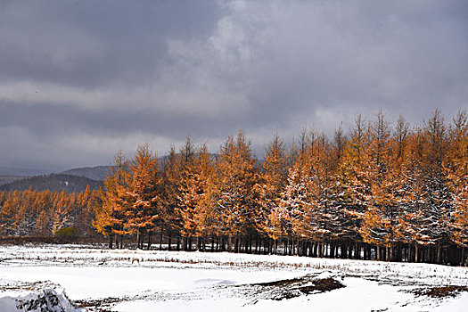 阿尔山雪景