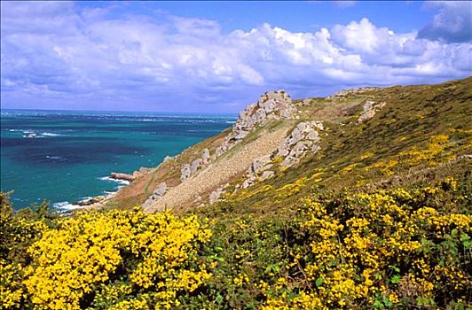 法国,下诺曼底,风景,靠近,海边