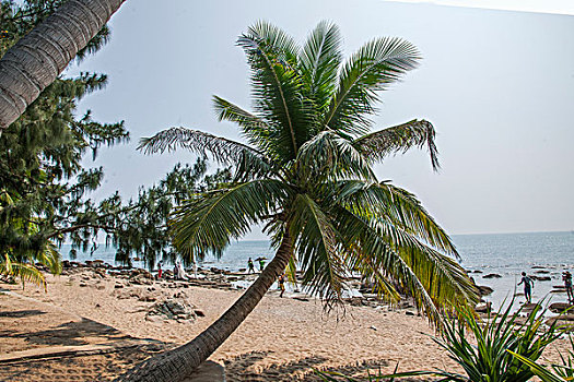 海南三亚大小洞天游览区椰林海滩