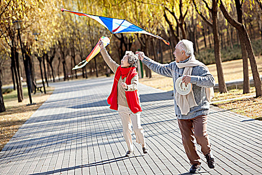 在公园放风筝的老夫妻