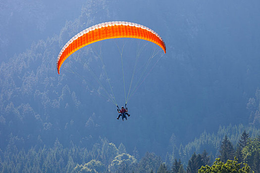 滑翔伞,一前一后,飞行,上奥地利州,奥地利,欧洲