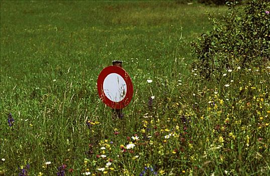 交通标志,通行,花,草地,格劳宾登州,瑞士,欧洲