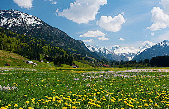 风景,奥伯斯多夫,阿尔卑斯山,巴伐利亚,德国,欧洲