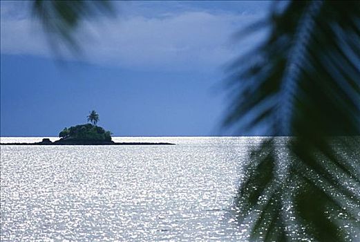 密克罗尼西亚,西部,贝劳,一棵树,岛屿,坐,远景,闪闪发光,水