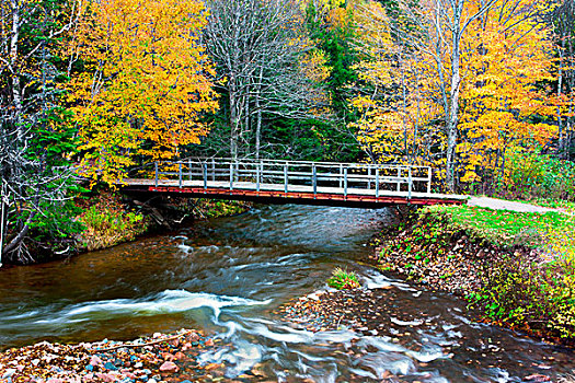 河,秋天,山谷,新斯科舍省,加拿大