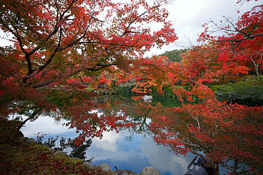 日本京都永观堂