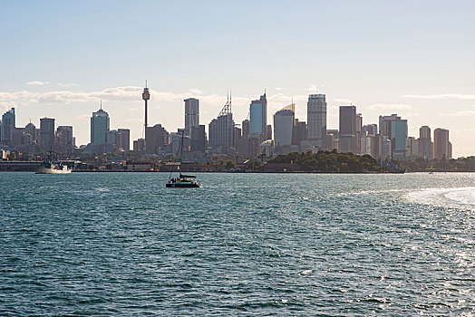 风景,悉尼,天际线