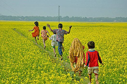 孩子,跑,芥末,地点,孟加拉,十二月,2007年