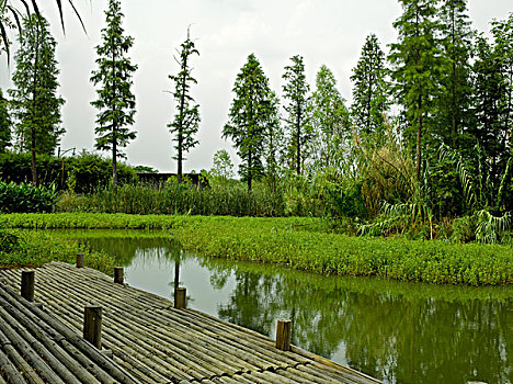 杭州西溪湿地