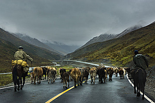 独库公路上的牧民,新疆伊犁尼勒克县