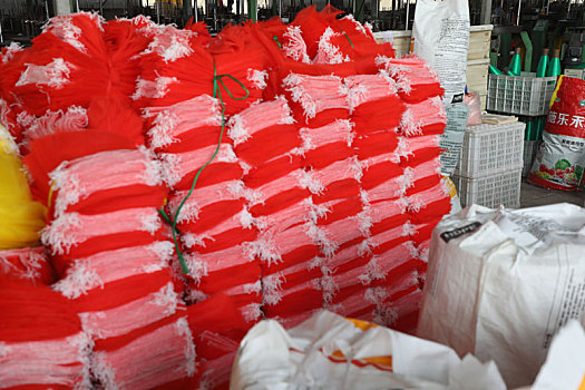 山东省日照市,38岁农民白手起家,制作网袋出口日韩,年产值达1500多万元