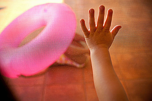 手,接触,粉色,游泳圈,背景
