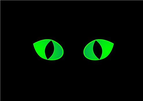 猫,眼睛