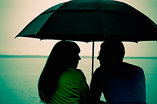 伴侣,坐,伞,边缘,贝灵汉,华盛顿,美国