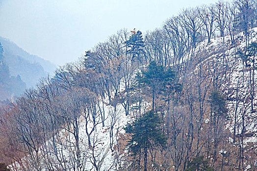 索道,山林,雪,俯瞰,曲径