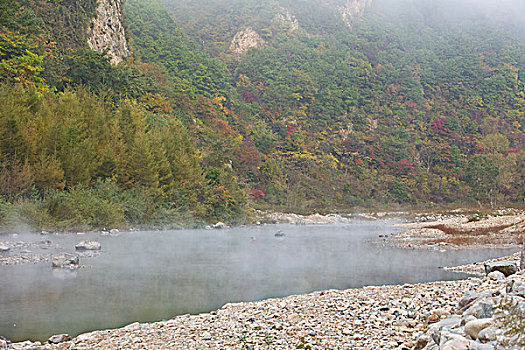 湖,水面,雾气,蒸腾,白雾,水蒸气,缥缈,仙境,灵性,家禽,鸭子,鹅,游动,自在,安静,自然,风光