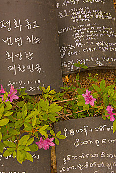 祈福牌,野花,户外,洞穴,庆州,韩国