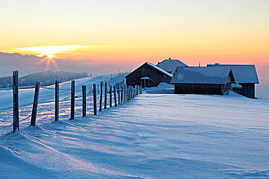 晚间,冬天,山,草场,瑞士,阿尔卑斯山,欧洲