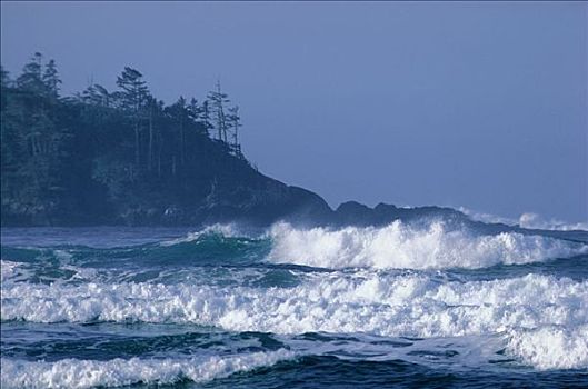 海浪,靠近,不列颠哥伦比亚省,加拿大