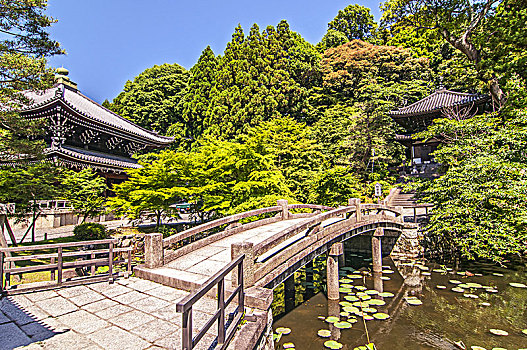 传统,石桥,花园,穿过,庙宇,京都,日本