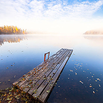 小,木质,码头,安静,湖,鲜明,秋天,雾状,早晨