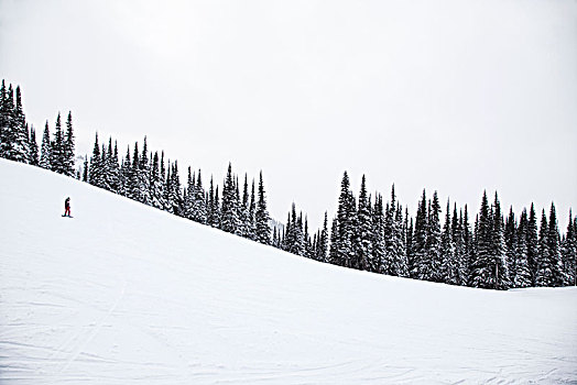 男人,滑雪板,斜坡,雪,冬天,娱乐