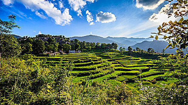 南岗排瑶寨全景,梯田,日落