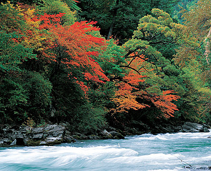 四川阿坝