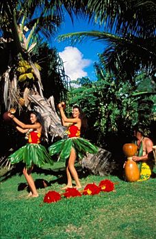 草裙舞,夏威夷,葫芦属植物,鼓手,绿色植物,棕榈树