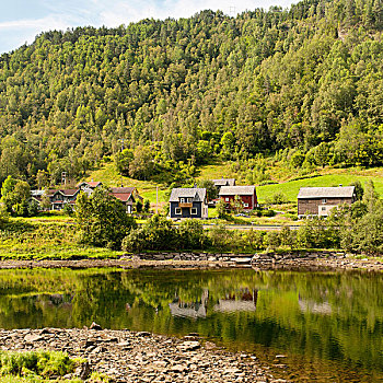 房子,山谷,旁侧,遮盖,山,平和,水,卑尔根,挪威
