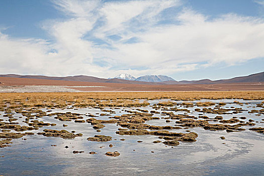 河,火山,背景,安托法加斯塔大区,智利