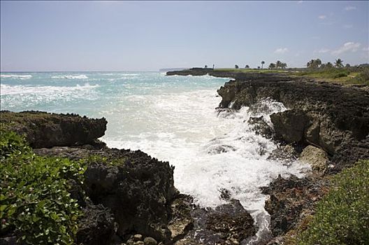 海浪,碰撞,岩石上,多米尼加共和国,加勒比海