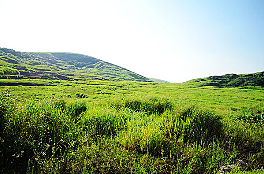 万亩大草原