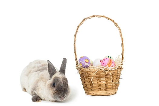 复活节兔子,篮子,蛋