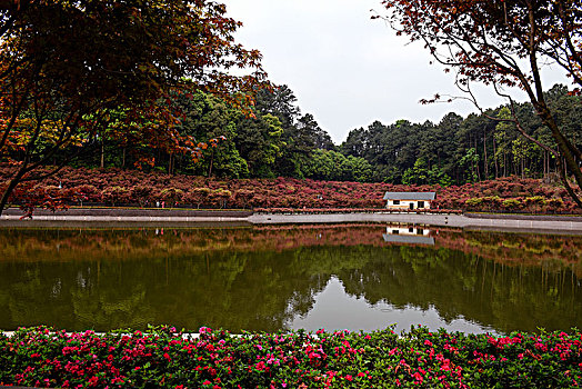 重庆南湖多彩植物园风光