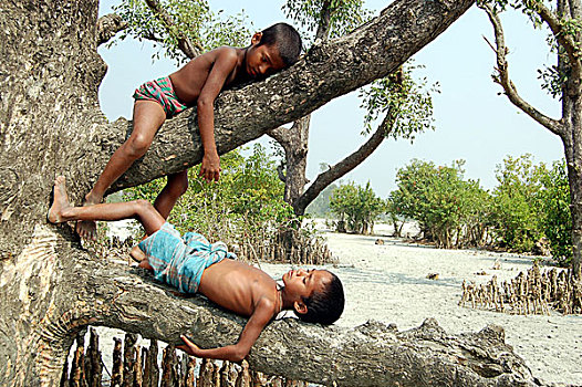 孩子,岛屿,孟加拉,八月,2008年