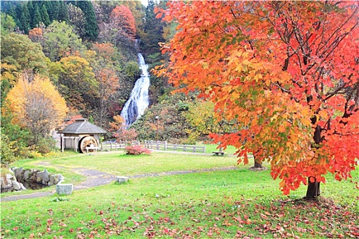 瀑布,水车,秋天