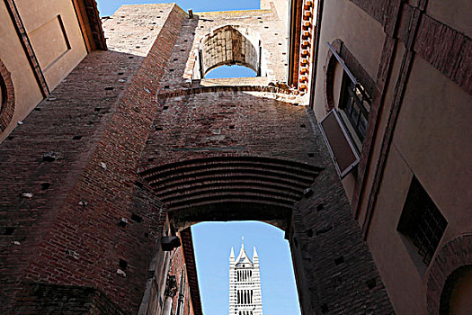 钟楼,尖顶,大教堂,锡耶纳,小巷,托斯卡纳,意大利,欧洲