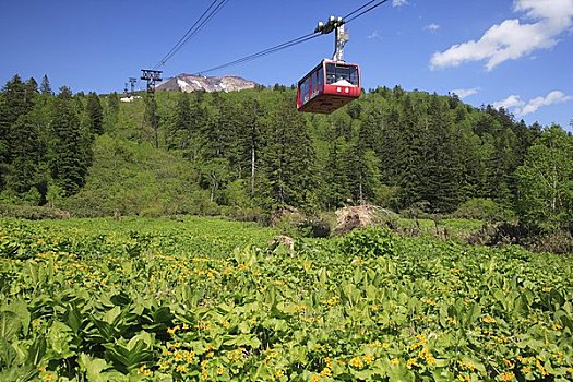 山,索道