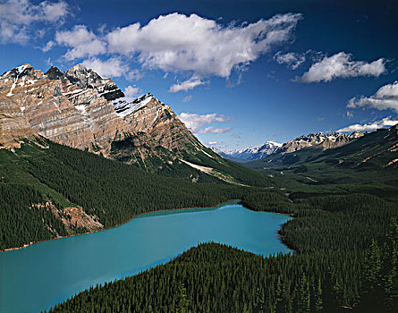 加拿大,艾伯塔省,班芙国家公园,山,佩多湖,大幅,尺寸