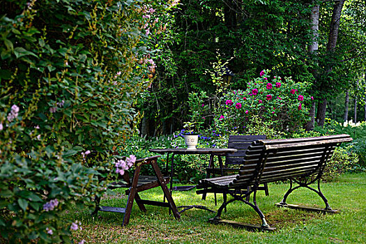 公园长椅,桌子,木椅,草坪,花园,花,多年生植物